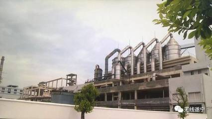 鹽中精華，卓筒晶品 品牌商標申請的戰略之路